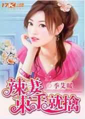 辣妻追夫免费阅读 m.630book.la